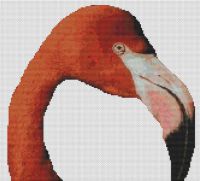 Flamingo PDF