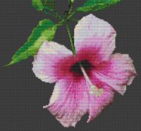 Pink Hibiscus PDF