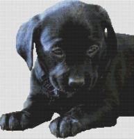 Black Lab Puppy 2 PDF