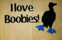 Love Boobies PDF