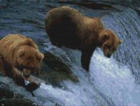 Bears Fishing PDF