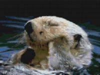 Otter Bathtime PDF