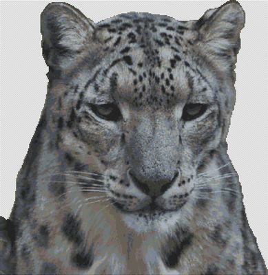 Snow Leopard PDF