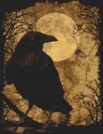 My Raven PDF