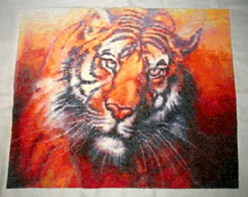 Tiger PDF