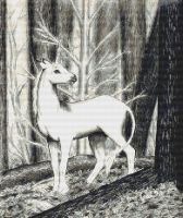Forest Unicorn PDF