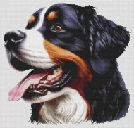 Bernese Mountain Dog 4 