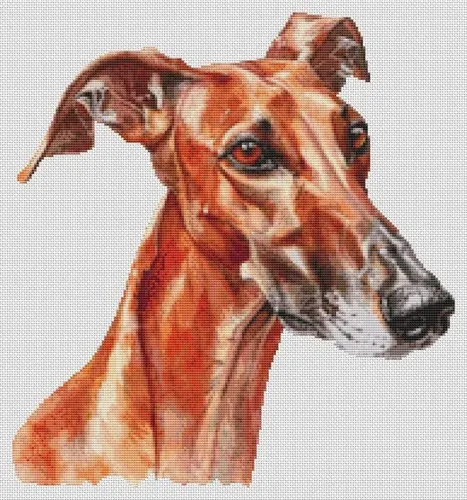 Red Greyhound