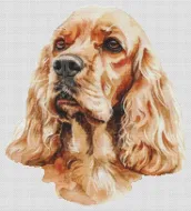 Artistic Cocker Spaniel