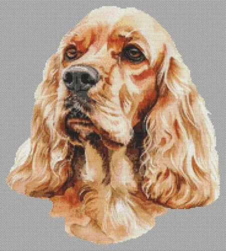 Artistic Cocker Spaniel