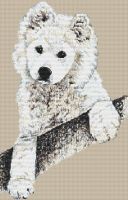 Samoyed Pup PDF