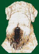 Soft Coated Wheaten Terrier PDF
