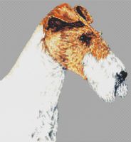 Wire Fox Terrier PDF