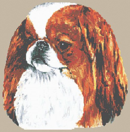 Japanese Chin - Sable and White PDF