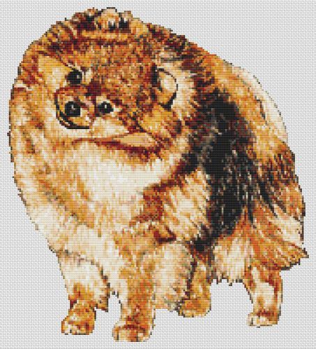 Pomeranian PDF