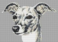 Italian Greyhound PDF