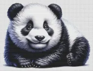 Panda Bear