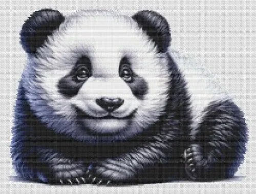 Panda Bear