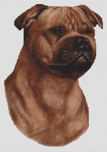 Red Staffordshire Terrier PDF