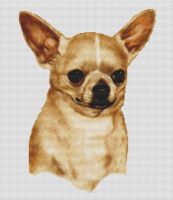 Chihuahua 2 PDF