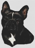 Black French Bulldog PDF