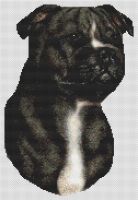 Black and White Staffordshire Terrier PDF