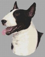 Black and White Bull Terrier PDF
