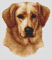 Yellow Labrador Retriever 2 PDF
