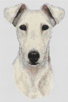 White Fox Terrier PDF