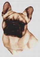 Fawn Masked French Bulldog PDF