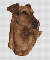 Irish Terrier PDF