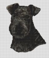 Black Lakeland Terrier PDF