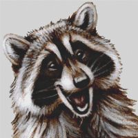 Happy Raccoon PDF