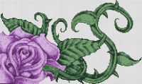 Purple Rose PDF