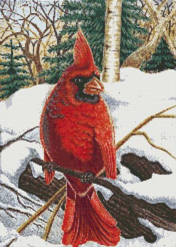 Winter Cardinal PDF