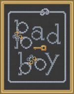 Bad Boy PDF