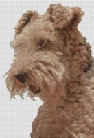 Airedale Terrier PDF