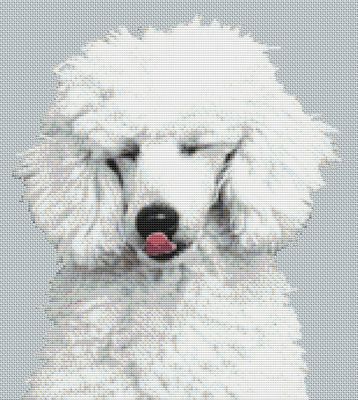 White Poodle Kisses PDF