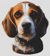 Beagle 2 