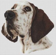 Treeing Walker Coonhound Portrait PDF
