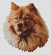 Red Chow Chow PDF