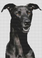 Black Greyhound PDF