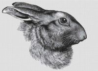 Rabbit Portrait